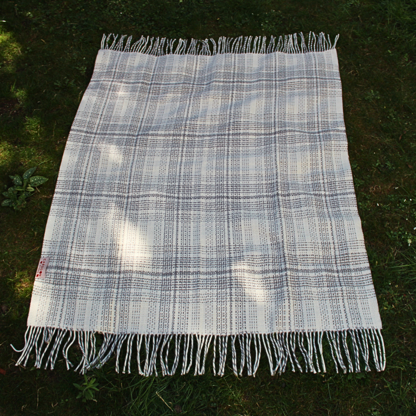 Ayni Throw