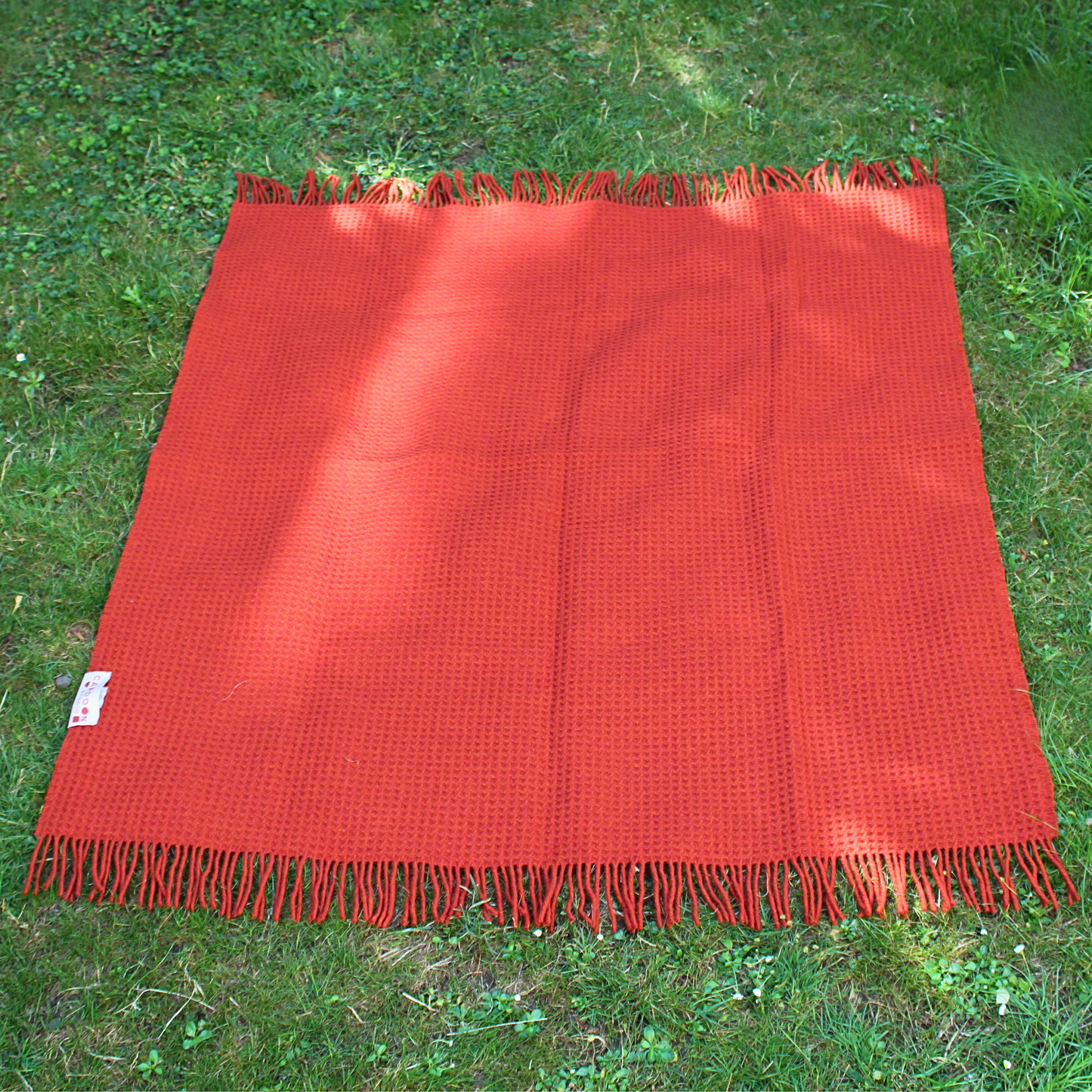 Bracken Copper