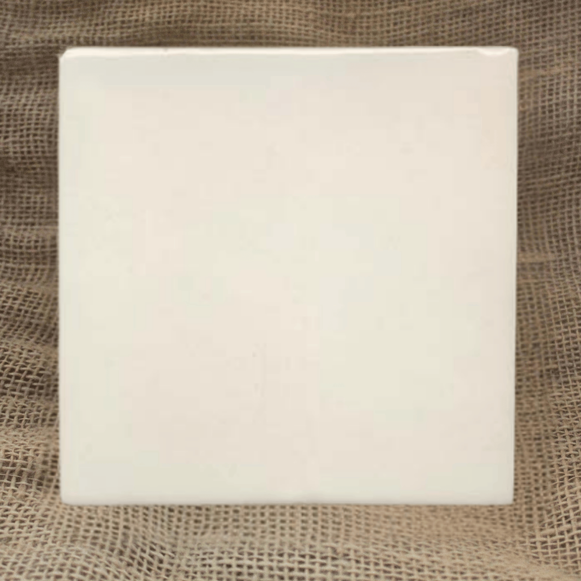 My Store Ivory white Terracotta 15cm