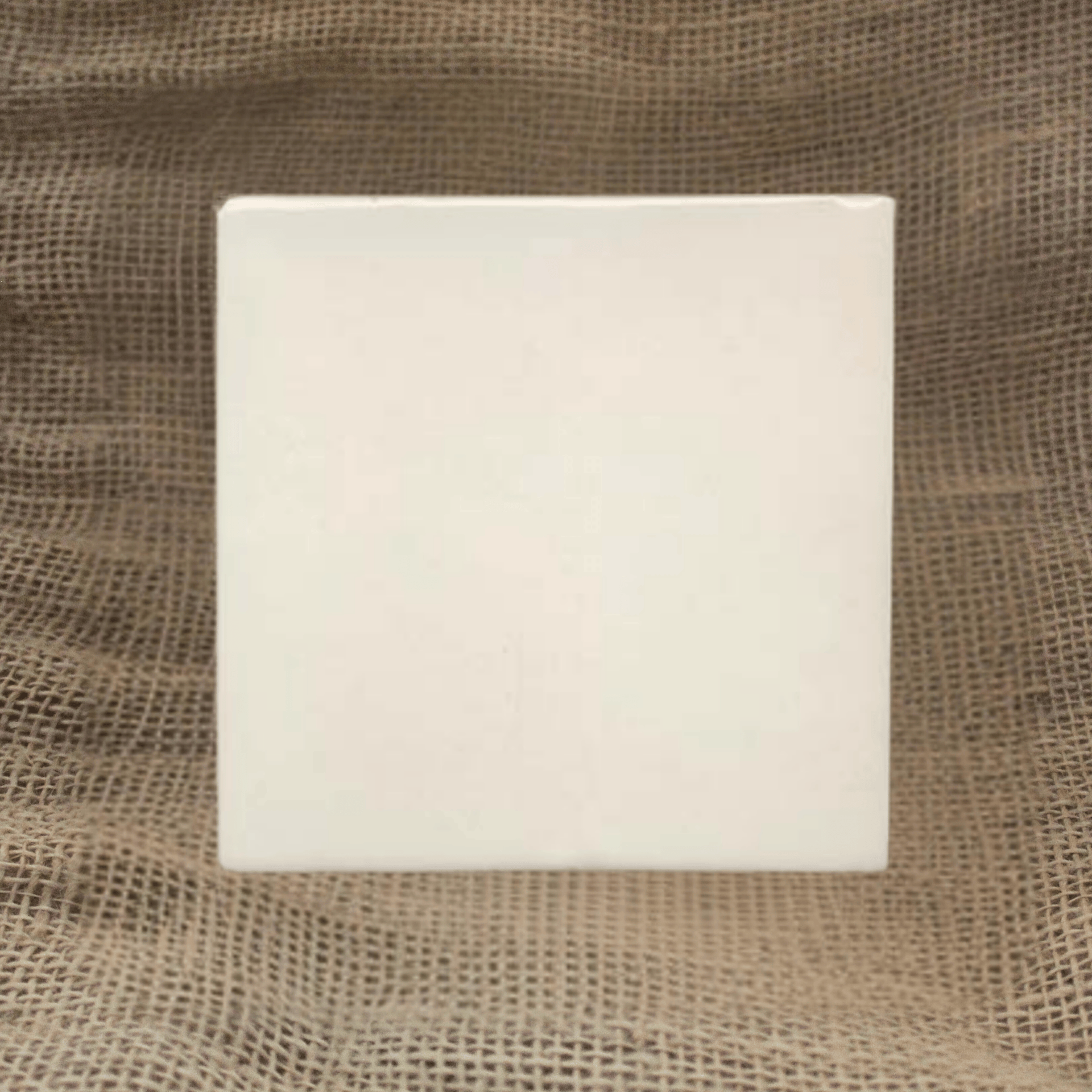 My Store Ivory white Terracotta 13cm