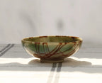 My Store 1 Multicolour Bowl (11 x 5 cm)