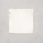 Restoration White • Gloss Terracotta Tile