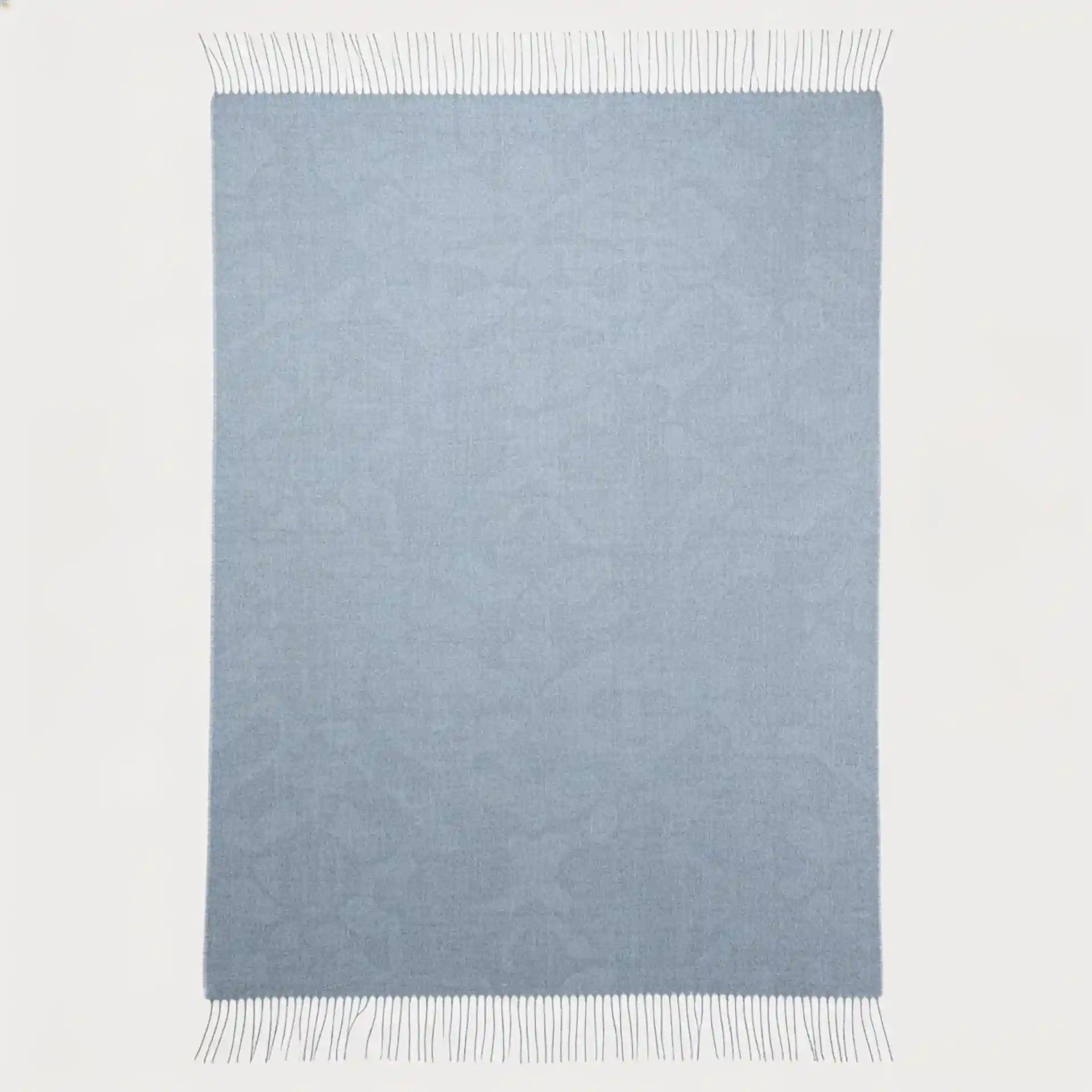 A rectangular light blue woven throw blanket with fringed edges, shown flat against a plain white background.