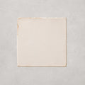 Toasted White • Gloss Terracotta Tile